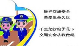 行车安全爆料视频大全最新,揭秘最新行车安全爆料视频全解析